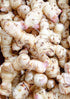 (2) Fresh Galangal from Hawaii