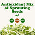 8 Food to Live - Antioxidant Mix of Sprouting Seeds, Ounces - Broccoli, Clover, Alfalfa, Kosher, Raw, Vegan