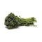 Fresh Produce Baby Broccoli Organic, 1 Each