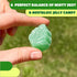 2 Spearmint Leaves Jelly Candy - Pound Bulk Bag - Classic Spearmint Candy with Soft Chewy Texture - Leaf Shaped Mint