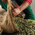 1Lt 100% Iliada Kalamata PDO Extra Virgin Olive Oil, | Multi-awarded | Single Region Greek | Monovarietal Koroneiki |