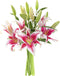 KaBloom Flowers - Sailor's Sunset Bouquet of 5 Fresh Pink Lilie -