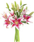 KaBloom Flowers - Sailor's Sunset Bouquet of 5 Fresh Pink Lilie -
