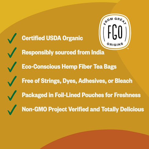 100 Count, Packaging (Pack 1) FGO Organic Turmeric Ginger Tea, Eco-Conscious Tea Bags, May Vary