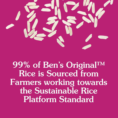 1 lb (Pack 12) BEN'S ORIGINAL Converted Brand Enriched Long Grain White Rice, Parboiled Rice, Box