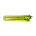 Fresh Produce Celery Bunch