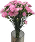 19 Stems Pink Mini Carnations Fresh Cut Flower Bouquet Gifts for Birthday Anniversary Friendship and Love