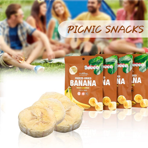 10 Pack Pack, 0.52 ONETANG Freeze-Dried Fruit Banana Chips, Single-Serve Non GMO, Kosher, No Add Sugar, Gluten free