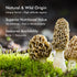 2oz, (56.7g) VIGOROUS MOUNTAINS Premium Dried Wild Morel Mushrooms Wild Harvested, Earthy Flavor & Rich Umami-Perfect