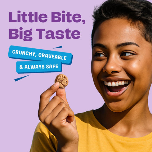 9 (20 Packs, 0.67 oz) Gluten Free Partake Crunchy Chocolate Chip Cookies - Vegan - Free From the Top Allergens