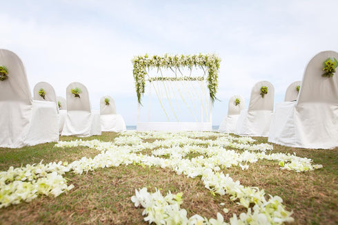 (50 Miami FRESH CUT FLOWERS Orchid Loose Bloom OrchidClub USA by Sunne Tropical DIY Lei, food & drink decoration WHITE)
