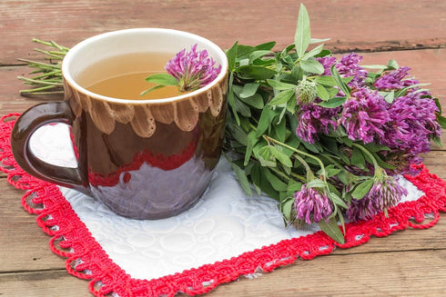 Health Embassy Red Clover Flower, Trifolium Pratense L, 100% Natural, 50g