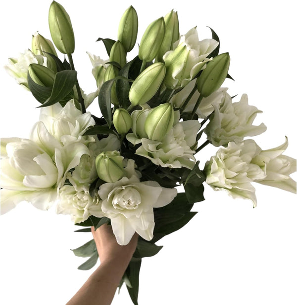 5 stems fresh-cut multi-petal lilies Scented for a long time and good