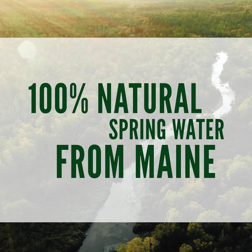 100% 16.9 oz. 14 Poland Spring Natural Mineral Drinking Water pk.