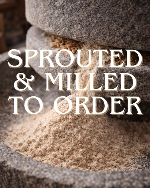 XOL 3-Day 5 lb Sprouted Whole Wheat Flour Freshly Sprouted, Stone-Milled Hard Red Wheat, Organic, Glyphosate-Free