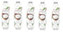 Cascade Ice Sparkling Water 17.2oz - 5 bottles (Coconut)