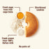 12.35oz (350g) Mulino Bianco Macine Authentic Italian Breakfast Biscuits with Fresh Cream Perfect for Coffee, Tea
