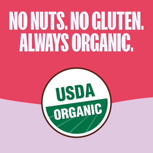 5ct 0.85oz MadeGood Organic Strawberry Granola Bites, x