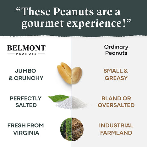 20 oz (2 Pack) 3 7g Belmont Peanuts Gourmet Sea-Salted Virginia Peanuts, Only Simple Ingredients, No Preservatives