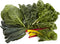 FARMER'S MARKET Farmers Market Organic Weekly Greens Bundle