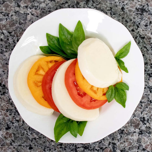 Mozzarella 5 & Ricotta Cheese Making Kit | Piece DIY Kit Includes Cheesecloth, Vegetable Rennet, Citric Acid, Cheese