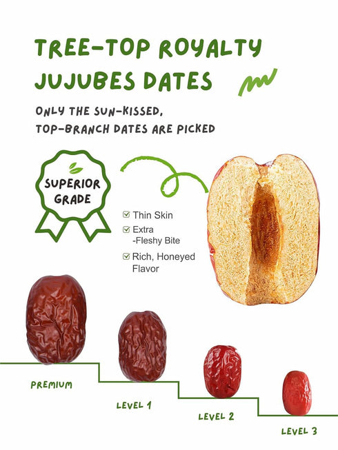 13OZ Zorrer Jujube Pitted Dates, Jar Premium Jujube Pitted Dates, Sun Dried Dates Fruit Snacks, Chinese Red Dates ()