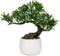 DILATATA Fake Bonsai Tree Zen Juniper Plant 10' Tall Artificial Bonsai with