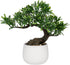 DILATATA Fake Bonsai Tree Zen Juniper Plant 10' Tall Artificial Bonsai with