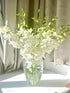 20 Elegant Stems of Fresh White Dendrobium Orchids - Perfect for Any Occasion