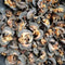 Generic Premium African Dried Snails 250g All-Natural, Wild-Caught, Hand-Cleaned, Sun-Dried Snail Meat High