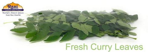 1oz (28g) Rani Fresh Curry Leaves ~ All Natural | Vegan | Gluten Friendly | NON-GMO | Product of USA
