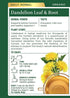 16 (Pack 2) Traditional Medicinals Tea, Organic Dandelion Leaf and Root Tea, Bags