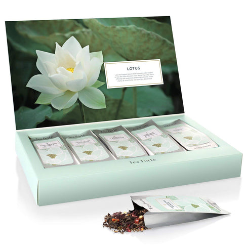15 Tea Forte Single Steeps Loose Leaf Tea Sampler, Assorted Variety Tea Box, Single Serve Pouches, Lotus Tea