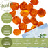 Packed (4 LBS) NUTS U.S. - Dried Nectarines I Grown in California I Sun Dried Chewy Flavor I GMO Free I In Resealable