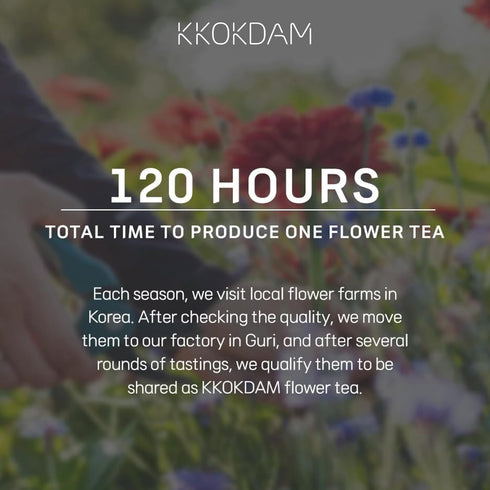 Pack 500g KKOKDAM Kombucha Tea - Lemon & Chrysanthemum Korean Tea - Kombucha Drinks Probiotic Support, Low Calorie