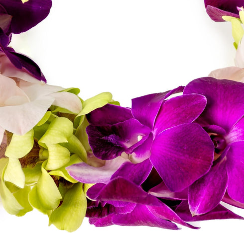 Generic Graduation Leis, Fresh Cut Orchids Flower Leis, Long-lasting double leis made of fresh cut purple, pink