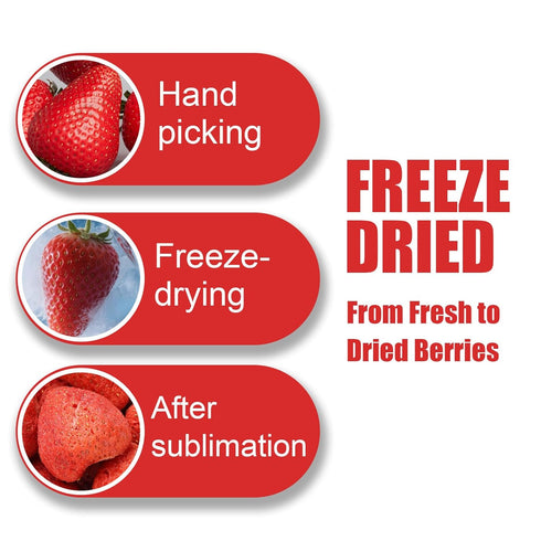 16 Oz Frozen Freeze-Dried Whole Strawberries - Dehydrated Fruit - No Sugar Added, No Additives - Premium Natural