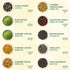 20 Set (100+ Pack VAHDAM World Top Favourites Tea Sampler | Loose Leaf Tea Cups) | Tea Variety with Green, Herbal