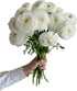 18 Fresh white ranunculus cut flowers, handpicked by a florist, perfect for bouquets, weddings, and home dcor, exuding