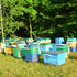 15.9 OZ 450gr 100% Essences Bulgaria Raw Linden Honey | | Amazing Taste | Pure and Natural | Without additives | Raw