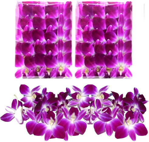 (50 Miami Fresh Orchid Flower OrchidClub USA Sunne Tropical Loose Bloom DIY Lei, food & drink decoration PURPLE)