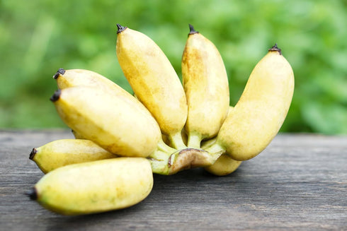 RawJoy 1 Fresh Organic Thai Banana Bunch by Farms, Pound