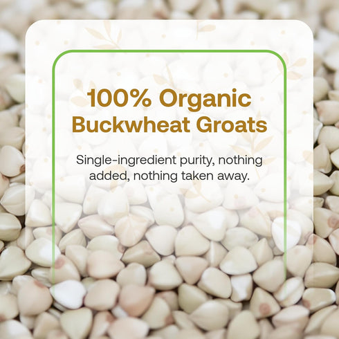2lbs Quay Naturals Organic Buckwheat Flour, | Gluten-Free, Non-GMO, Vegan | USA Grown, Stone-Ground | Rich Nutty Flavor
