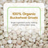 2lbs Quay Naturals Organic Buckwheat Flour, | Gluten-Free, Non-GMO, Vegan | USA Grown, Stone-Ground | Rich Nutty Flavor