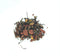 White Teas by Petali Lemon Pistachio Tea (1/2 Ib)
