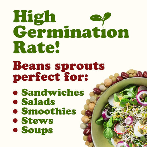 1 Crunchy Mix of Sprouting Bean Seeds, Pound Green Peas, Adzuki, Lentils, Garbanzo, Kosher, Raw