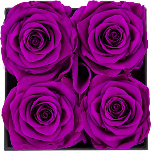 Impouo Preserved Roses Red + Purple Bundle, Flowers for Delivery Prime - Roses in a Box - Real Roses That Last a Year