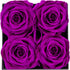 Impouo Preserved Roses Red + Purple Bundle, Flowers for Delivery Prime - Roses in a Box - Real Roses That Last a Year