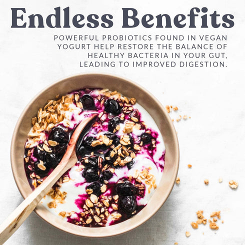 4 Direct-Set Packets Cultures for Health Vegan Yogurt Starter Culture | | DIY Dairy-Free Yogurt from Plant Milks |