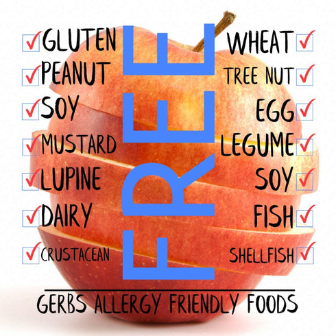 2 LBS. 14 Gerbs Dried New England Apple Slices - No Sugar Added, Unsulfured & Preservative Free - Top Allergy Free